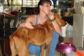 Hurricane Katrina Animal Rescue
